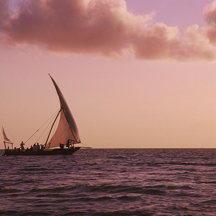 Excursion Archipel de Zanzibar, l'ile de Pemba, Peche au gros, plongée