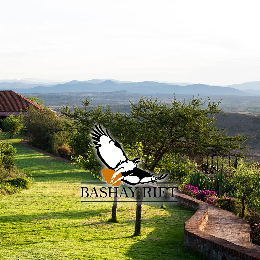 Diese Lodge befindet sich auf einem Hügel im Dorf Bashay (Karatu) am Eingang zum Naturschutzgebiet Ngorongoro.