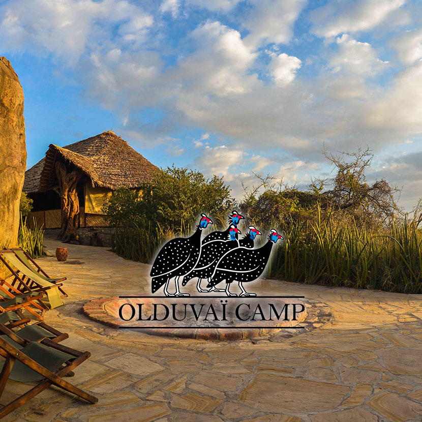 The camp is located in the Ngorongoro Conservation Area, on the hedge of the Olduvai gorge, near The Ngorongoro Crater
