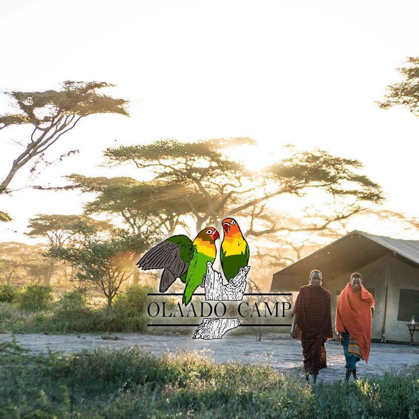 Die Unterbringung im Olaado-Camp ist ein temporäres und saisonales Camp, das für optimale Zeiträume eingerichtet und dann je nach Jahreszeit und Wildtierbewegungen der großen Mig an einen anderen Ort 