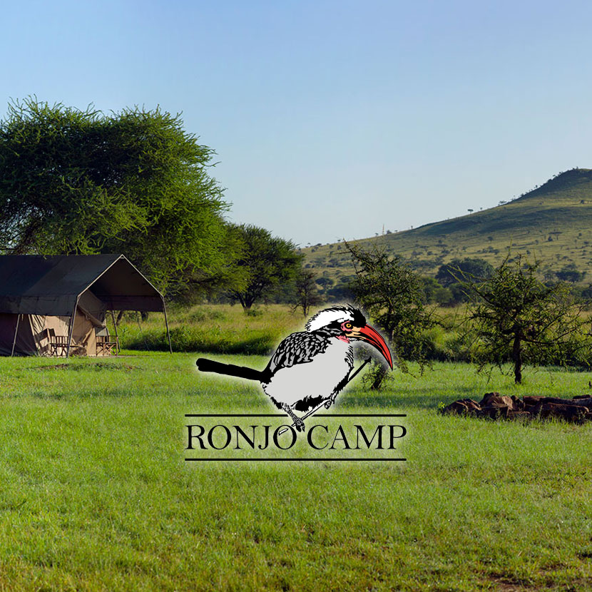 Situato nel centro del Parco Nazionale del Serengeti, vicino a Banagi, abbastanza lontano da altri campi e rifugi, nel cuore di una bellissima foresta di acacia