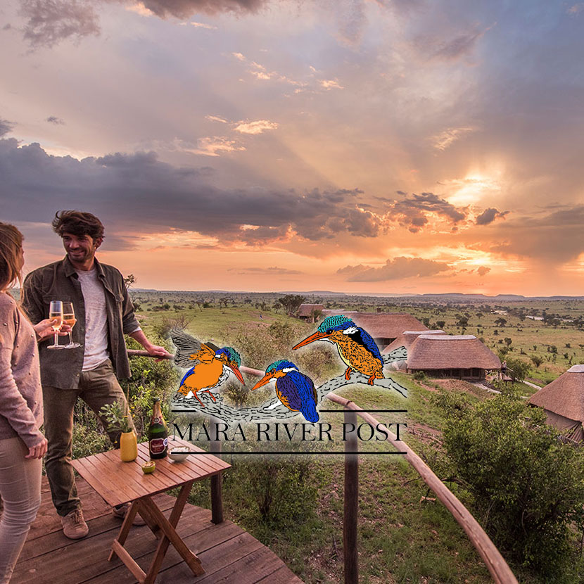 Dans la partie nord du Serengeti (Kogatende) le long de la rivière Mara : les plus célèbres safaris, richesse de la faune