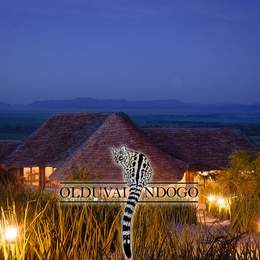 Olduvai Ndogo (klein auf Suaheli) ist ein permanentes Lager in der Nähe der Massai-Dörfer