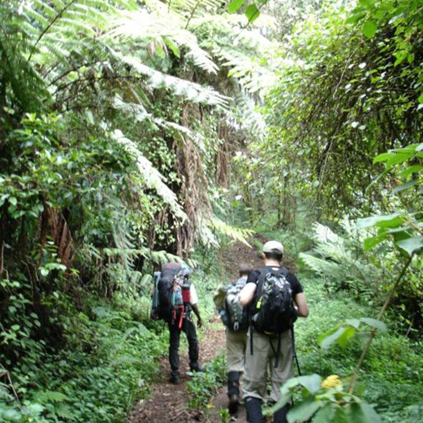 Kilimandjaro climbing Marangu Route - Mountain Hiking Tanzania