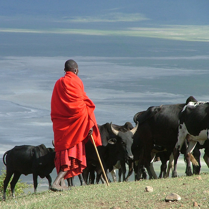 Tansania, Safari Ngorongoro, Olduvai und Laetoli treffen sich mit den Massai