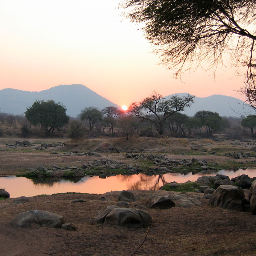 Nationalparks im Süden Tansanias : Ruaha