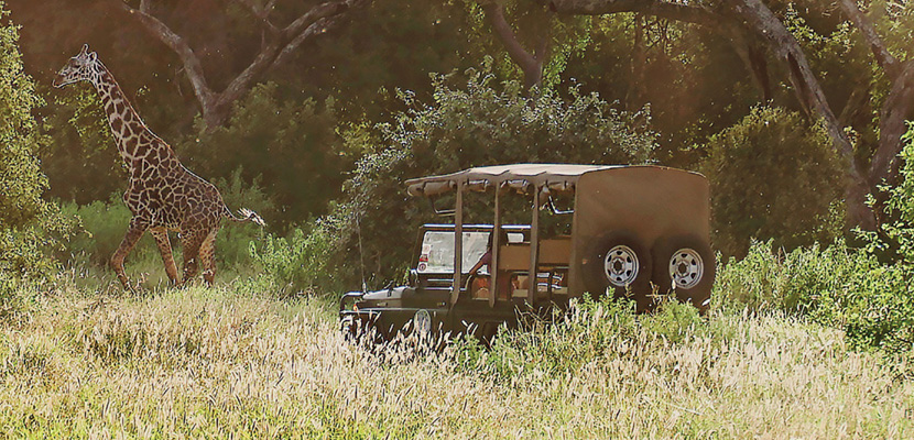 E-Geländewagen im Serengeti-Nationalpark
