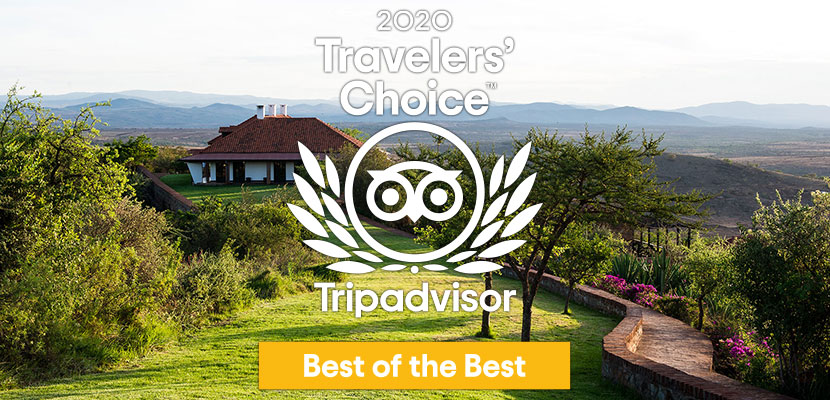 Bashay obtient le label Trip Advisor Traveller's Choice