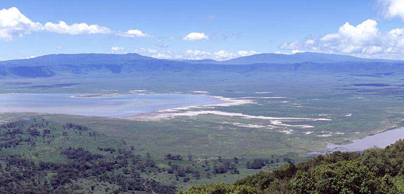 Partez à la découverte du Ngorongoro