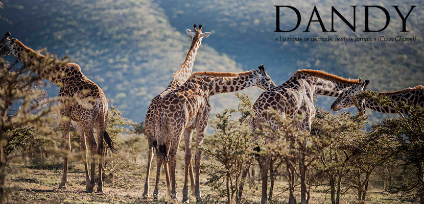 Au coeur du dernier royaume sauvage